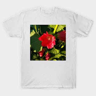 Red hollyhocks in sunshine T-Shirt